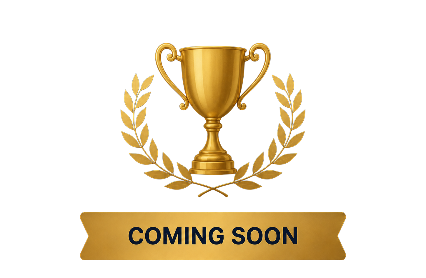3rd finalist placeholder
